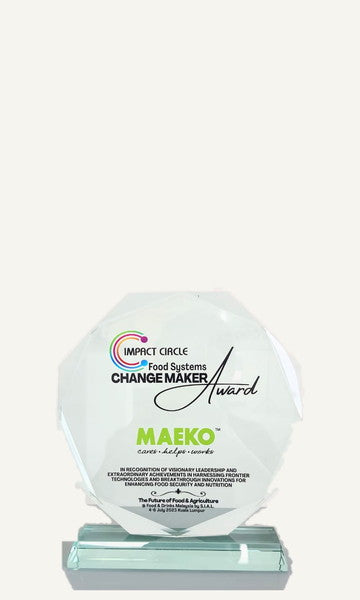 The 2023 Impact Circle award, a twelve-sided glass plaque